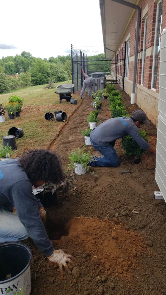 We will get your commercial properties in shape.